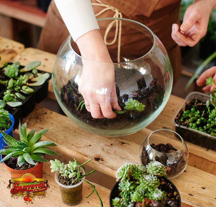 Wine Tasting & Terrarium Making at the Winery