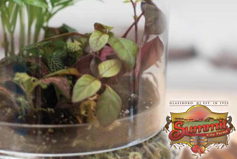 Mother’s Day Terrarium Workshop & Wine Tasting 5/2